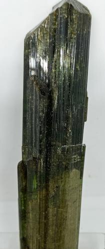 Elbaita (variedad verdelita)<br />Mina Santa Rosa, Itambacuri, Vale do Rio Doce, Minas Gerais, Brasil<br />100x20x20 mm.<br /> (Autor: Luis Edmundo Sánchez Roja)