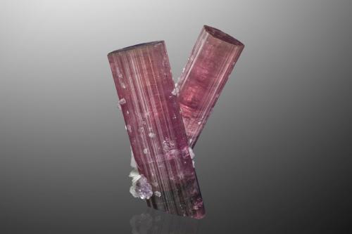 Elbaite (variety rubellite) with Albite (variety cleavelandite)<br />Himalaya Mine, Gem Hill, Mesa Grande District, San Diego County, California, USA<br />8 x 5 x 10 cm / main crystal: 10 cm.<br /> (Author: MIM Museum)