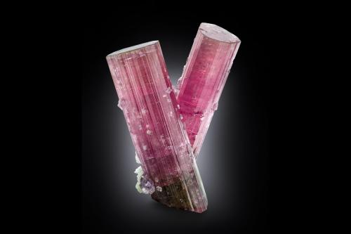 Elbaite (variety rubellite) with Albite (variety cleavelandite)<br />Himalaya Mine, Gem Hill, Mesa Grande District, San Diego County, California, USA<br />8 x 5 x 10 cm / main crystal: 10 cm.<br /> (Author: MIM Museum)