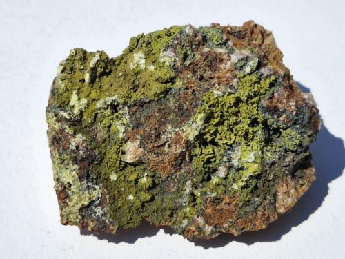 Wulfenite, Mottramite<br />Mina Capricornio 1-7, Cachiyuyo de Llampos, Provincia Copiapó, Región Atacama, Chile<br />5,5 x 4 cm<br /> (Author: Volkmar Stingl)
