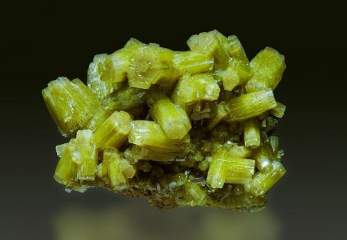Piromorfita<br />Concesión Resuperferolítica, Cerro de la Canaleja, Santa Eufemia, Comarca Los Pedroches, Córdoba, Andalucía, España<br />25 x 30 mm<br /> (Autor: Borja Sainz de Baranda)