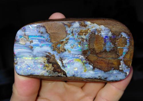 Opal<br />Quilpie, Condado Quilpie, Queensland, Australia<br />Specimen 9 x 5 cm<br /> (Author: Tobi)
