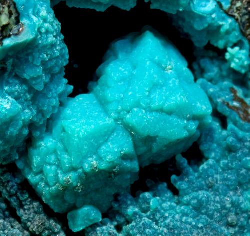 Chrysocolla after Boleite<br />Manto 3, Santa Rosalía (El Boleo), Distrito Boleo, Municipio Mulegé, Baja California Sur, México<br />main crystal: 0.7 × 0.7 cm<br /> (Author: Jordi Fabre)