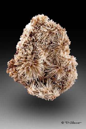 Aragonito<br />Chella, Comarca Canal de Navarrés, Valencia / València, Comunidad Valenciana / Comunitat Valenciana, España<br />5,5cm x 4,5cm x 1,5cm<br /> (Autor: Pere Alonso)