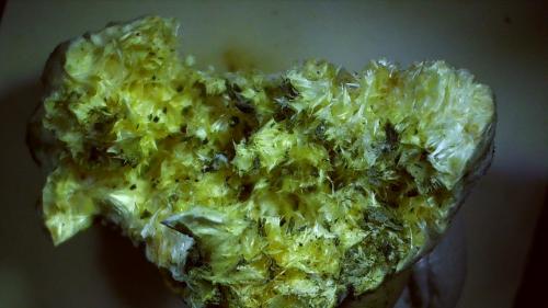 Pickeringite<br />Mina Terranera, Porto Azzurro, Isla de Elba, Provincia Livorno, Toscana, Italia<br />2 x 1 cm<br /> (Author: Volkmar Stingl)