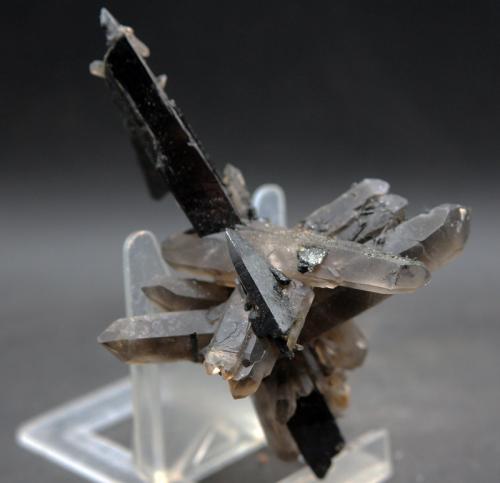 Aegirina cuarzo<br />Mount Malosa, Zomba District, Malawi<br />9.5 x 7 cm<br /> (Autor: Pedro Antonio)