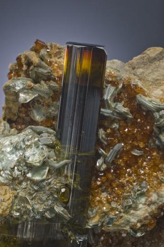 Vesuvianite with Mica (Group) and Grossular (variety hydrogrossular)<br />Alpe delle Frasse, Condove, Val di Susa, Provincia Ciudad metropolitana de Turín, Piamonte (Piemonte), Italia<br />7 x 4 x 6.5 cm / main crystal: 6.4 cm<br /> (Author: MIM Museum)