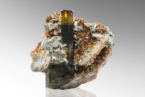 Vesuvianite with Mica (Group) and Grossular (variety hydrogrossular)<br />Alpe delle Frasse, Condove, Val di Susa, Provincia Ciudad metropolitana de Turín, Piamonte (Piemonte), Italia<br />7 x 4 x 6.5 cm / main crystal: 6.4 cm<br /> (Author: MIM Museum)