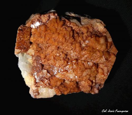 Microclina.<br />Obras del túnel de Pigot, Autovia C-25, Pla de Pigot, Arbúcies, Comarca La Selva, Massís del Montseny, Gerona / Girona, Cataluña / Catalunya, España<br />44x42<br /> (Autor: Jesus Franquesa Baucells)