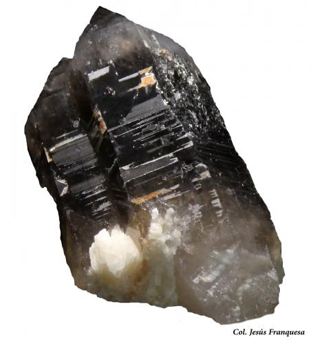 Cuarzo (variedad ahumado).<br />Mas Sever Quarry, Massabè (Mas Ceber), Sils, Comarca La Selva, Gerona / Girona, Catalonia / Catalunya, Spain<br />60x30 mm.<br /> (Autor: Jesus Franquesa Baucells)