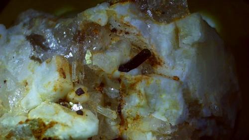 Beryl, Tourmaline (variety Schorl)<br />Isla del Giglio, Provincia Grosseto, Toscana, Italia<br />2 x 1,2 cm<br /> (Author: Volkmar Stingl)