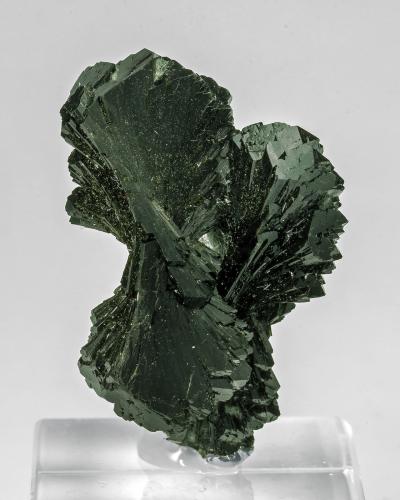 Epidote<br />Kharan, Kharan District, Balochistan (Baluchistan), Pakistan<br />4 × 2.5 × 2.1 cm<br /> (Author: Jordi Fabre)