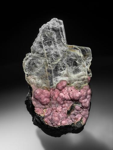 Rhodochrosite, Gypsum (variety selenite)<br />Distrito Santa Eulalia, Municipio Aquiles Serdán, Chihuahua, México<br />15.0 x 9.0 cm<br /> (Author: am mizunaka)