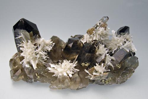 Bertrandite on Quartz (variety smoky)<br />Kara-Oba area, Betpak-Dala (Bet-Pak-Dala) Desert, Karaganda Region, Kazakhstan<br />10.1 × 6 × 4.5 cm<br /> (Author: Jordi Fabre)