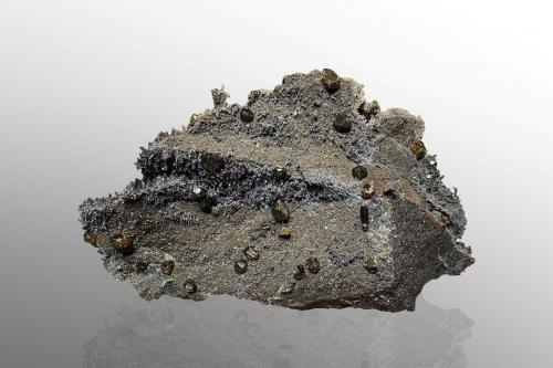 Geikielite with Amesite<br />Mina Saranovskii, Saranovskaya (Sarany), Gornozavodskii, Perm Krai, Ural, Rusia<br />16 x 7.5 x 9 cm / main crystal: 0.9 cm.<br /> (Author: MIM Museum)