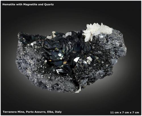 Hematite with Magnetite and Quartz<br />Terranera Mine, Porto Azzurro, Elba Island, Livorno Province, Tuscany, Italy<br />11 cm x 7 cm x 7 cm<br /> (Author: silvia)