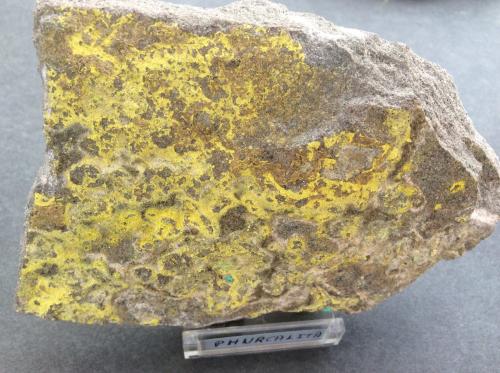 Phurcalita<br />Mina Posey, Distrito White Canyon, San Juan Co., Utah, USA<br />100 x 80 mm<br /> (Autor: Joaquin Blanco Cortina)