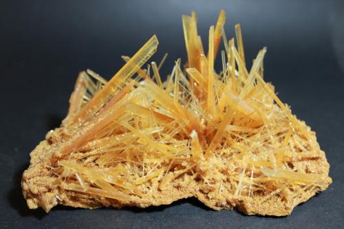 Yeso<br />Mina Lubin, Lubin, Distrito Lubin, Legnica, Baja Silesia, Polonia<br />120 x 100 mm.<br /> (Autor: Joaquin Blanco Cortina)