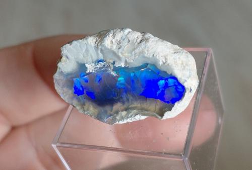 Opal<br />Coober Pedy, Central North, South Australia, Australia<br />Specimen size 3 cm<br /> (Author: Tobi)