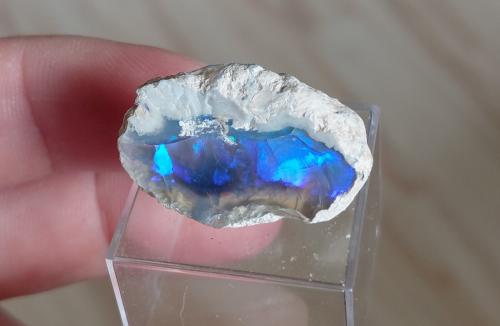 Opal<br />Coober Pedy, Central North, South Australia, Australia<br />Specimen size 3 cm<br /> (Author: Tobi)