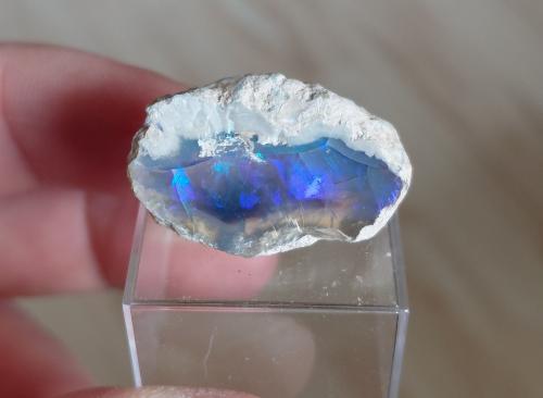 Opal<br />Coober Pedy, Central North, South Australia, Australia<br />Specimen size 3 cm<br /> (Author: Tobi)