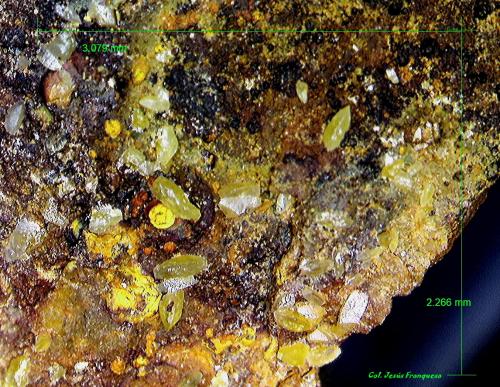 Wulfenita.<br />Mina Pepito, Mont-Ras, Comarca Baix Empordà, Gerona / Girona, Cataluña / Catalunya, España<br />3´07x2´24 mm.<br /> (Autor: Jesus Franquesa Baucells)