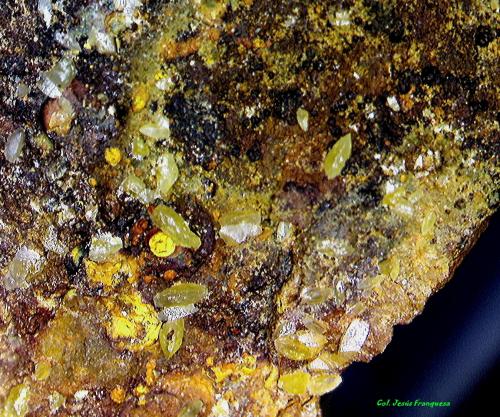 Wulfenita.<br />Mina Pepito, Mont-Ras, Comarca Baix Empordà, Gerona / Girona, Cataluña / Catalunya, España<br />3´07x2´24 mm.<br /> (Autor: Jesus Franquesa Baucells)