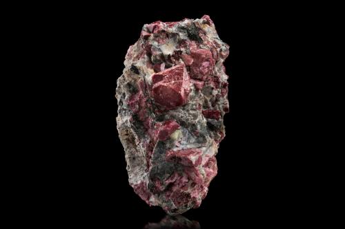 Eudialyte on Apatite (Group)<br />Mina Kirovskii, Monte Kukisvumchorr, Macizo Khibiny, Península Kola, Murmanskaja Oblast, Región del Norte, Rusia<br />10 x 8 x 6 cm / main crystal: 5.5 cm.<br /> (Author: MIM Museum)