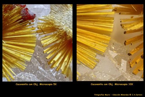 En el primer post mostré una comparativa de fotografías "objetivo macro versus objetivo microscopio 4X", de un ejemplar de Cacoxenita. Ahora añado otra nueva comparativa de la misma pieza, fotos tomadas con el obj. 5X y con el 10X, y ambas ya sobre el reail motorizado. (Autor: Jose Angel Carrero)