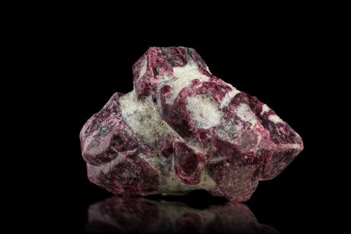 Eudialyte on Amphibole (Group)<br />Mina Kirovskii, Monte Kukisvumchorr, Macizo Khibiny, Península Kola, Murmanskaja Oblast, Región del Norte, Rusia<br />13 x 8 x 10 cm / main crystal: 3.4 cm.<br /> (Author: MIM Museum)