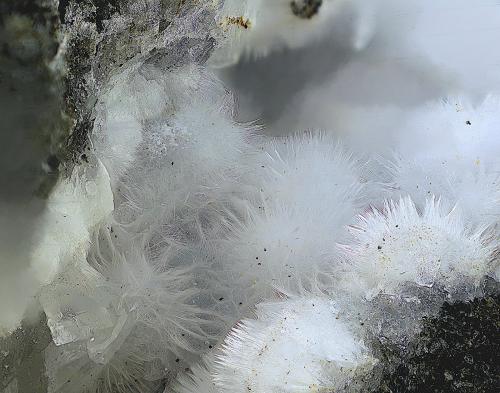 Thomsonita-Ca<br />Grupo Minero Concepción, Minas del Peñoncillo, Ojén, Comarca Costa del Sol Occidental, Málaga, Andalucía, España<br />Campo de visión de 12 mm.<br /> (Autor: Antonio Carmona)
