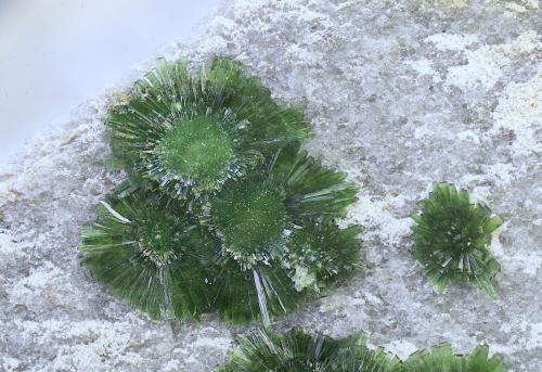 Olivenita<br />Fiñana, Comarca Los Filabres-Tabernas, Almería, Andalucía, España<br />Campo de visión de 12 mm.<br /> (Autor: Antonio Carmona)