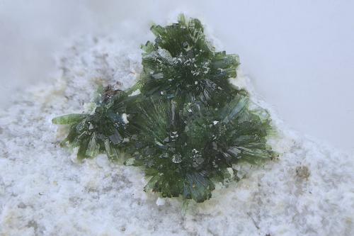 Olivenita<br />Fiñana, Comarca Los Filabres-Tabernas, Almería, Andalucía, España<br />Campo de visión de  6 mm.<br /> (Autor: Antonio Carmona)