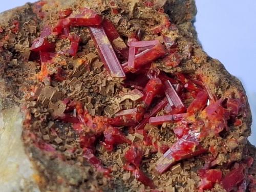 Realgar, Siderite<br />Cima di Val Fontana, Valle Campo Moro, Lanzada, Valle Lanterna, Valmalenco, Valtellina, Provincia Sondrio, Lombardía, Italia<br />ca. 2,5 x 2 cm<br /> (Author: Volkmar Stingl)