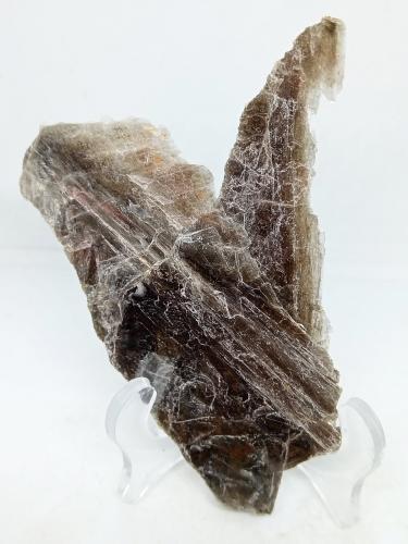 Muscovita<br />Sierra de San Pedro Mártir, Municipio Ensenada, Baja California, México<br />90x37x3 mm.<br /> (Autor: Luis Edmundo Sánchez Roja)