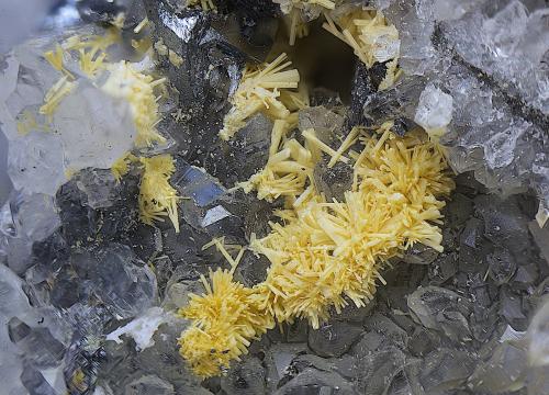 Valentinita<br />Mina Caracocha, Cabarcos, Riamonte de Abaixo, Cervantes, Comarca Os Ancares, Lugo, Galicia / Galiza, España<br />Campo de visión de  5 mm.<br /> (Autor: Antonio Carmona)