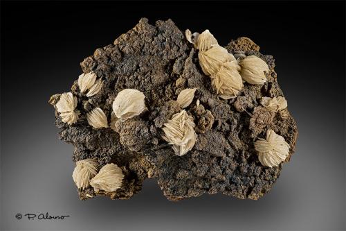 Barita<br />Mina Santa Isabel, Sierra de Enmedio, Almendricos, Lorca, Comarca Alto Guadalentín, Región de Murcia (Murcia), España<br />10,5cm x 7,5cm x 3cm<br /> (Autor: Pere Alonso)