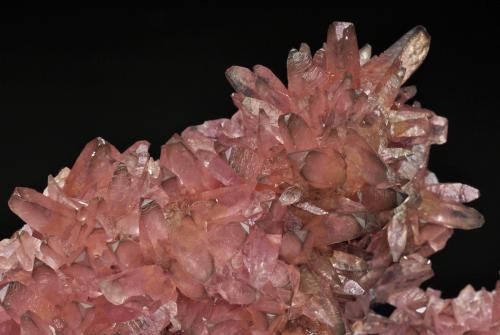 Calcita (variedad cobaltífera)<br />Minas Agoudal, Tansifite, Agdz, distrito minero Bou Azzer, Provincia Zagora, Región Drâa-Tafilalet, Marruecos<br />cristal principal: 1.1 × 0.4 cm<br /> (Autor: Jordi Fabre)