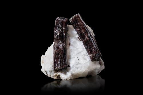 Painite<br />Ohngaing, Valle Mogok, Mogok, Distrito Pyin-Oo-Lwin, Región Mandalay (Division Mandalay), Myanmar (Burma)<br />5.5 x 3 x 5 cm / main crystal: 4 cm.<br /> (Author: MIM Museum)