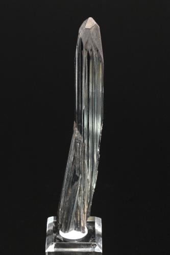Stibnite<br />Mina Ichinokawa, Saijo, Prefectura Ehime, Isla Shikoku, Japón<br />10.4 x 1.5 x 0.9 cm<br /> (Author: Michael Shaw)