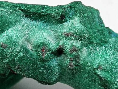 Malaquita<br />Mina Milpillas, Cuitaca, Municipio Santa Cruz, Sonora, México<br />85x45x25 mm.<br /> (Autor: Luis Edmundo Sánchez Roja)