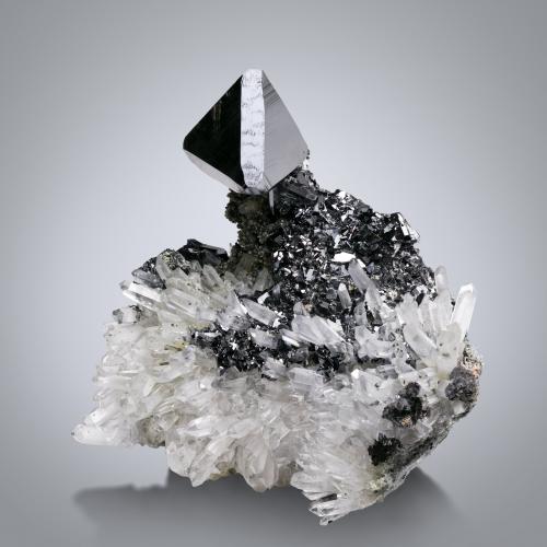 Sphalerite (variety marmatite) with Quartz and Galena<br />Complejo Trepča, Valle Trepča, Kosovska Mitrovica, Distrito Kosovska Mitrovica, Kosovo<br />11 x 8 x 9 cm / main crystal: 2.7 cm.<br /> (Author: MIM Museum)