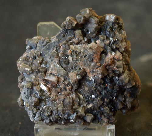 Aragonito<br />Afloramiento del Keuper, Los Barrancos, Camporrobles, Comarca	Requena-Utiel, Valencia / València, Comunidad Valenciana / Comunitat Valenciana, España<br />6 x 5.5 cm<br /> (Autor: Pedro Antonio)