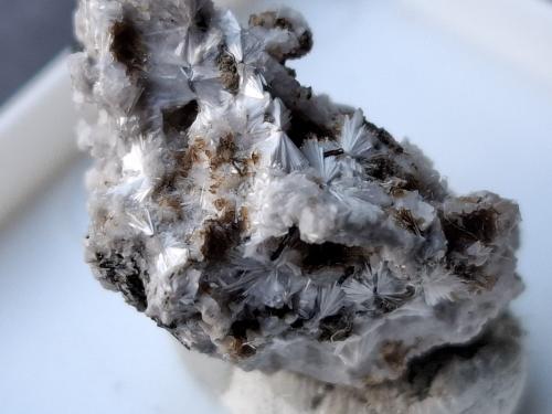 Leifite<br />Poudrette Quarry, Mont Saint-Hilaire, La Vallée-du-Richelieu RCM, Montérégie, Québec, Canada<br />1,8 x 1,4 cm<br /> (Author: Volkmar Stingl)