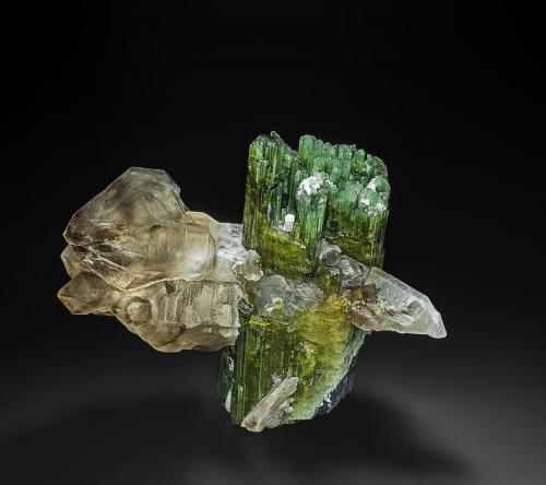 Elbaite, Quartz (variety smoky quartz)<br />Coronel Murta, Vale do Jequitinhonha, Minas Gerais, Brasil<br />6.5 x 7.5 cm<br /> (Author: am mizunaka)