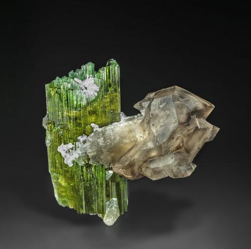 Elbaite, Quartz (variety smoky quartz)<br />Coronel Murta, Vale do Jequitinhonha, Minas Gerais, Brasil<br />6.5 x 7.5 cm<br /> (Author: am mizunaka)