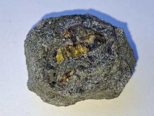 Amber<br />Gablitz, Distrito Sankt Pölten, Municipio Gablitz, Baja Austria/Niederösterreich, Austria<br />3,5 x 3 cm<br /> (Author: Volkmar Stingl)