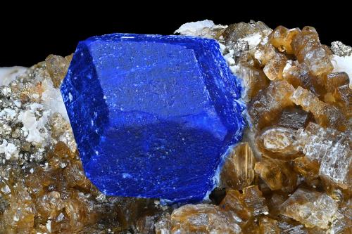 Lazurite with Phlogopite<br />Sar-e Sang, Valle Koksha, Distritos Khash & Kuran Wa Munjan, Provincia Badakhshan, Afganistán<br />14 x 6.5 x 8.5 cm / main crystal: 4.6 cm.<br /> (Author: MIM Museum)