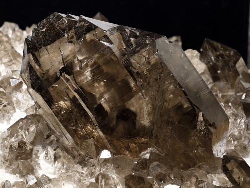 Quartz (varieties smoky and gwindel) with Albite<br />Grimsel area, Hasli Valley, Bern, Switzerland<br />main crystal size: 9.7 × 6 cm<br /> (Author: Jordi Fabre)