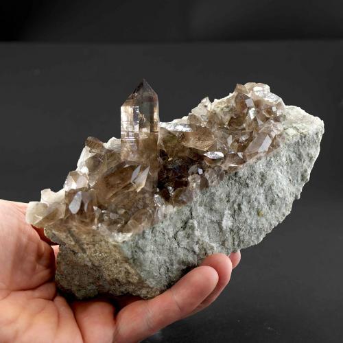 Smoky quartz<br />Rienzenstock Peak, Rien Valley, Reuss Valley, Uri, Switzerland<br />Specimen size 16,5 cm, largest crystal 6 cm<br /> (Author: Tobi)
